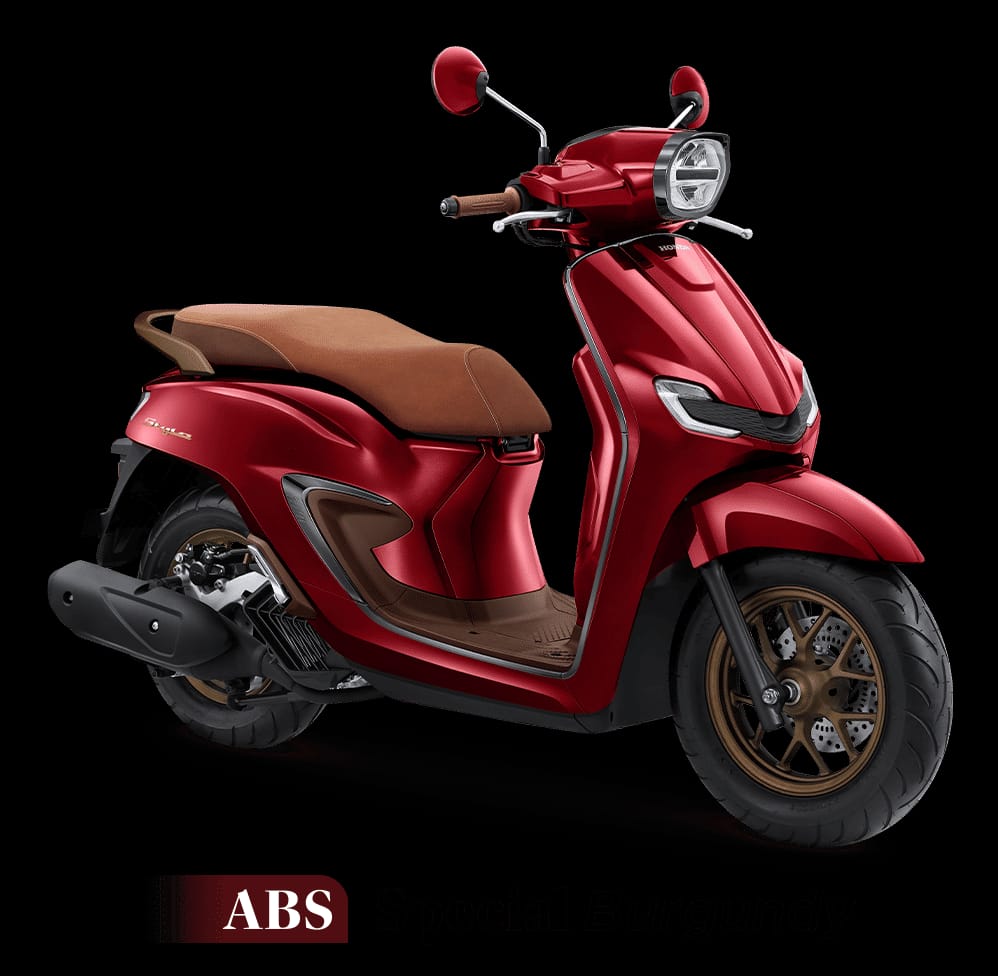 STYLO 160 ABS SPECIAL ( BURGUNDY )