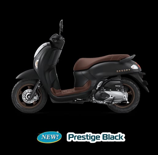 SCOOPY PRESTIGE BLACK